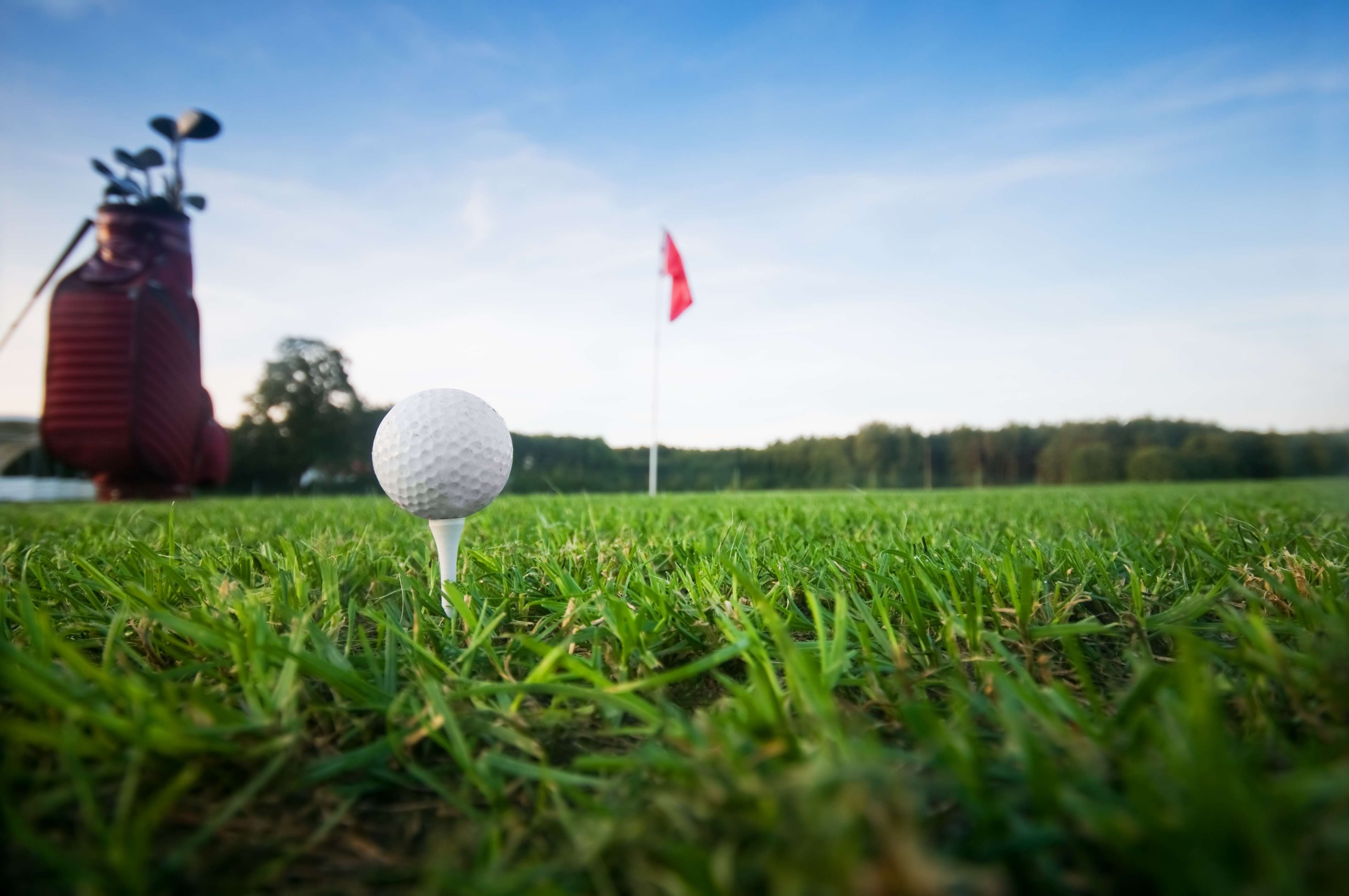 What Golf Bag Should We Buy?